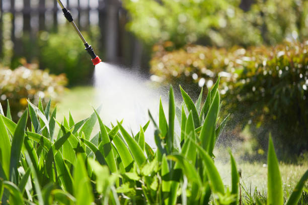 24/7 Emergency Cockroach Control experts in St. Bernard, OH