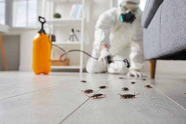 Trusted Cockroach Control service in St. Bernard, OH - Nex Pest Control