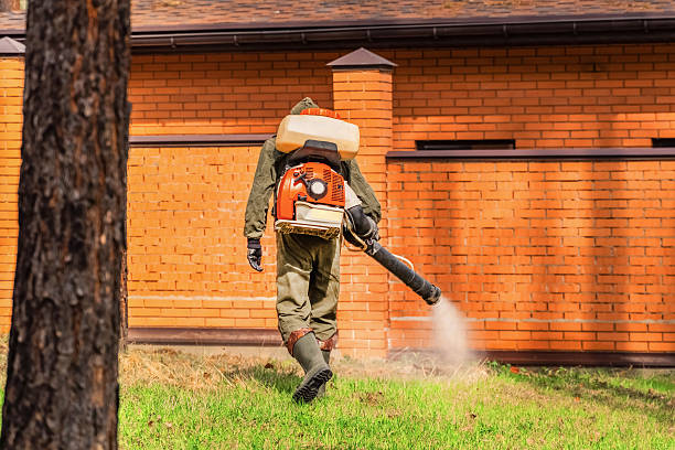 Trusted Termite Control service in St. Bernard, OH - Nex Pest Control